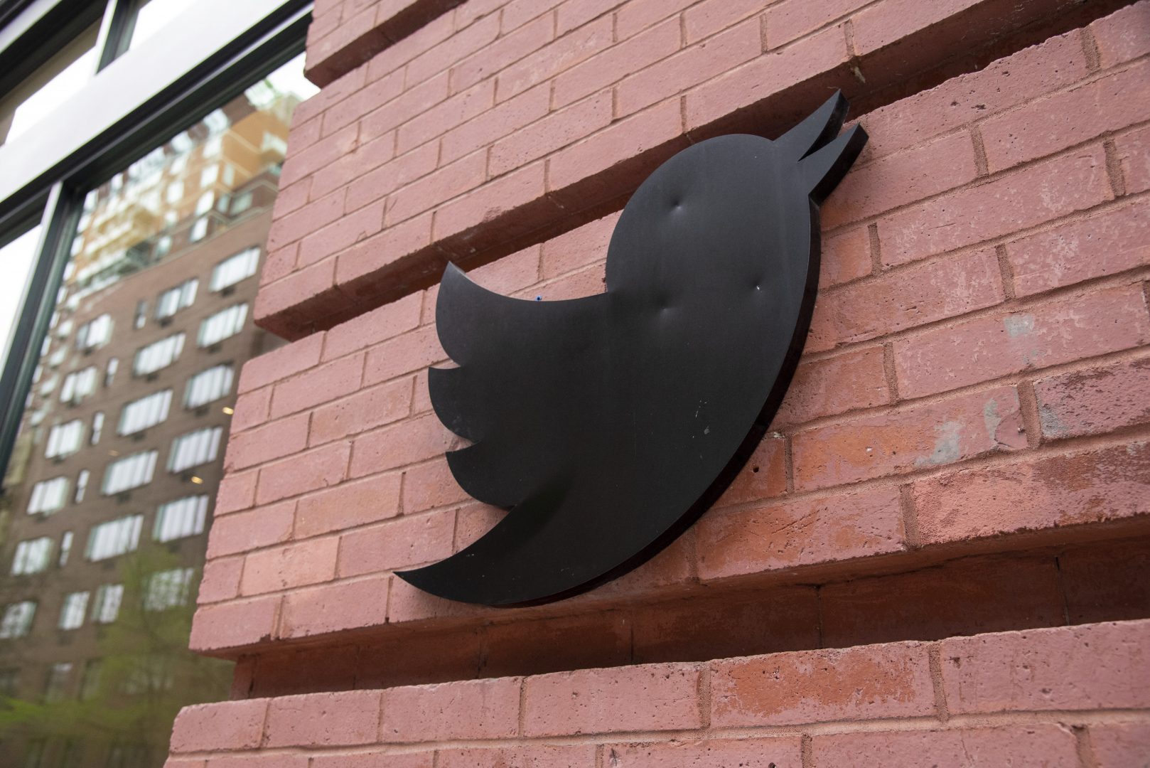 Twitter вече е в ръцете на Мъск. Птицата е на свобода