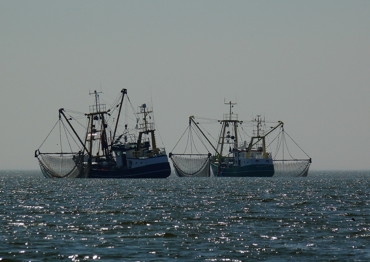 10 български моряци и три кораба са задържани в румънски води, заради лов на акули