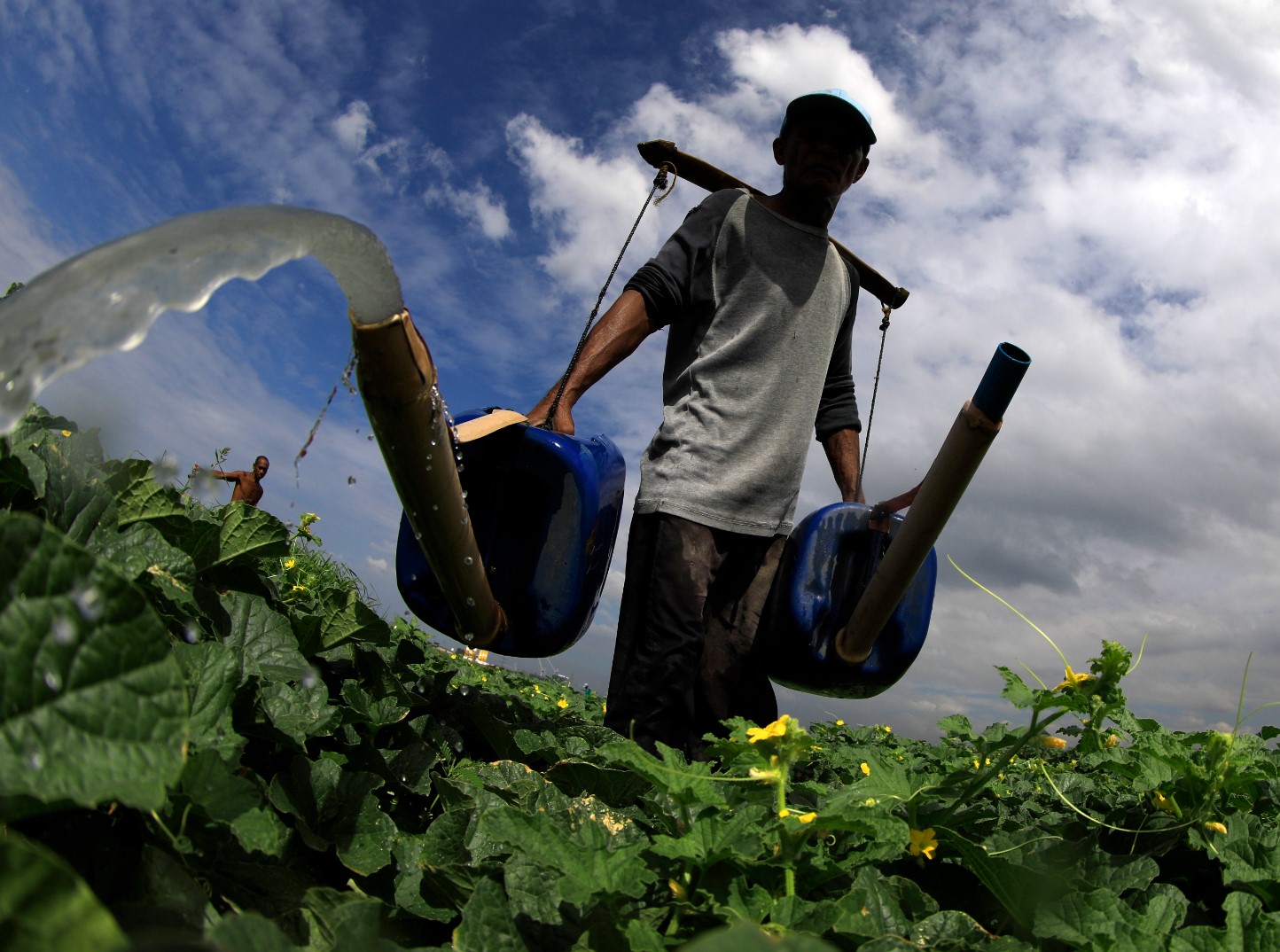 екологично земеделие